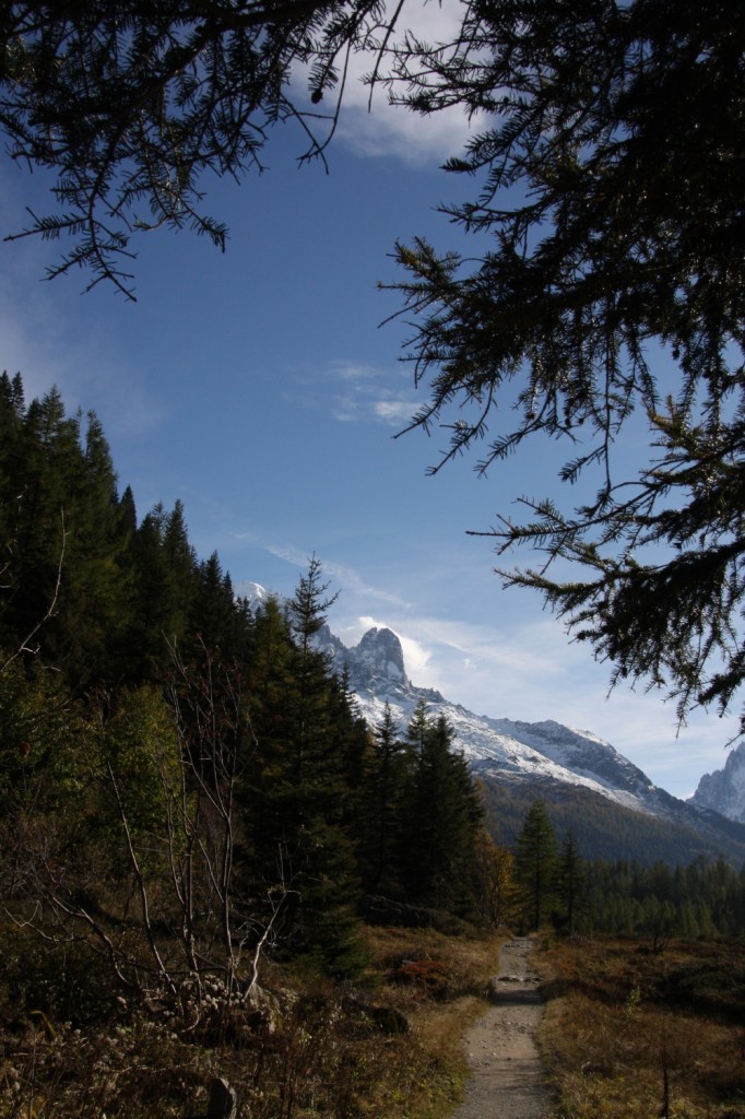 The Dru