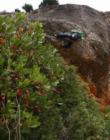 Margalef