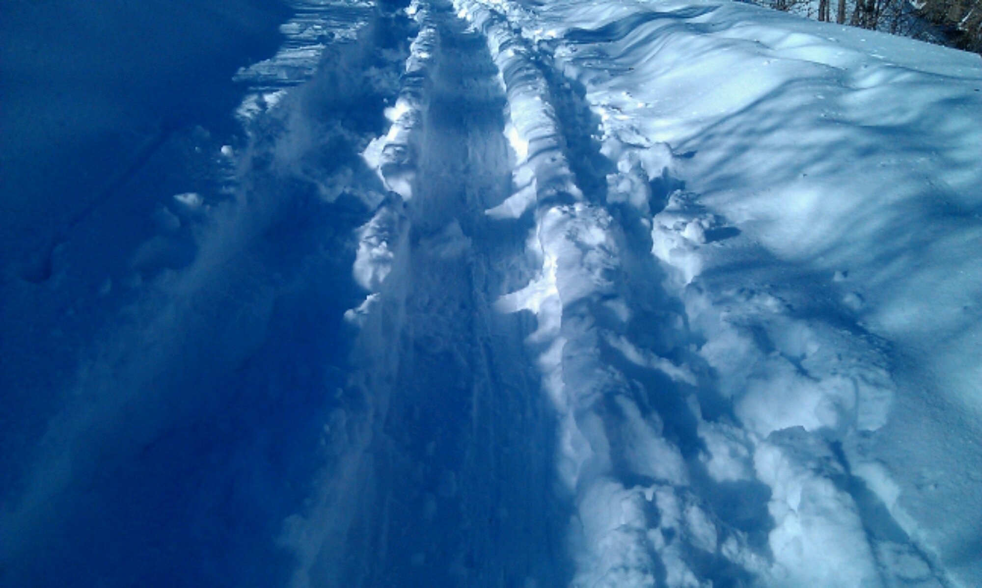 IMAG0370.jpg image