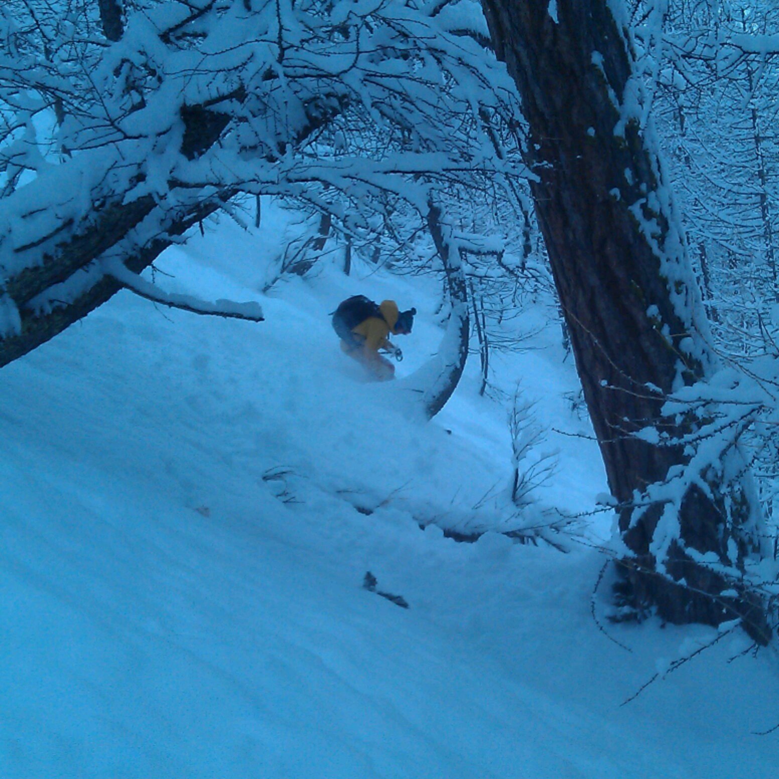 IMG_20131220_170803.jpg image
