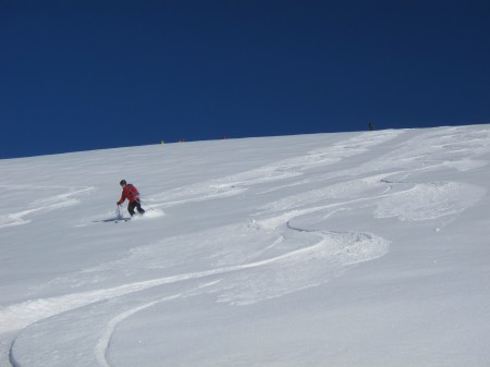 Fresh tracks anyone?