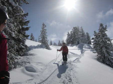 Some great terrain through the trees between huts