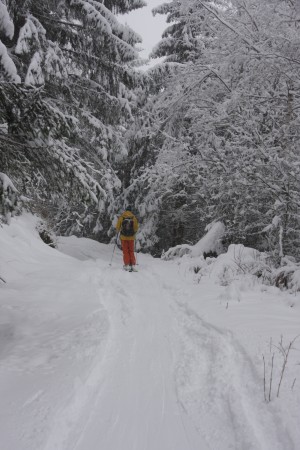 IMG_2586_1
