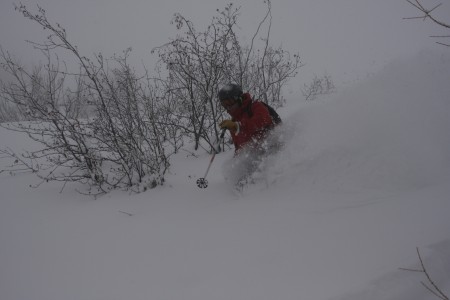 IMG_2605_1
