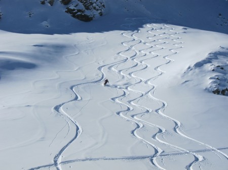 Oh Yes, fresh tracks in perfect snow.