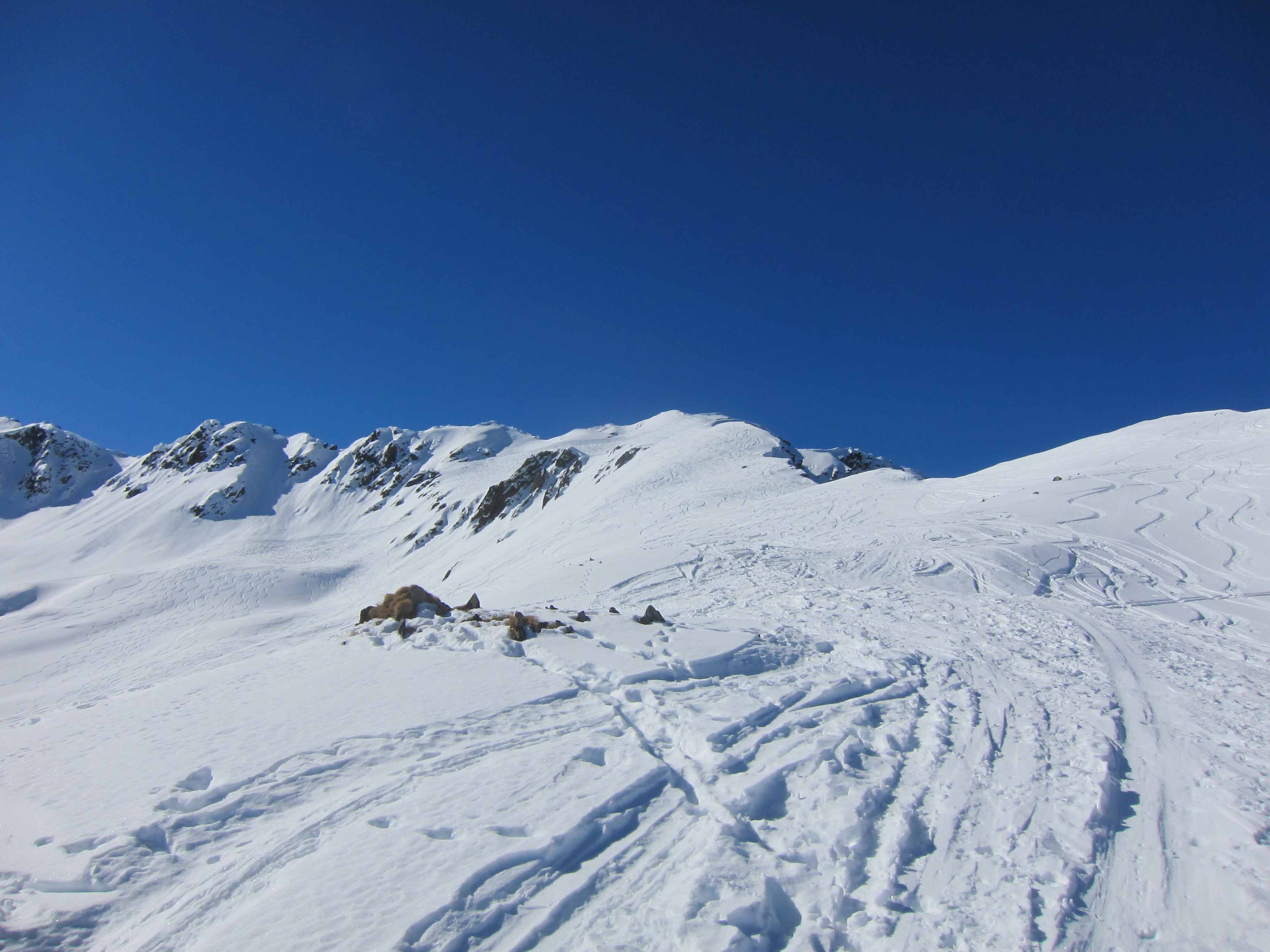 The last 500m or so of the climb