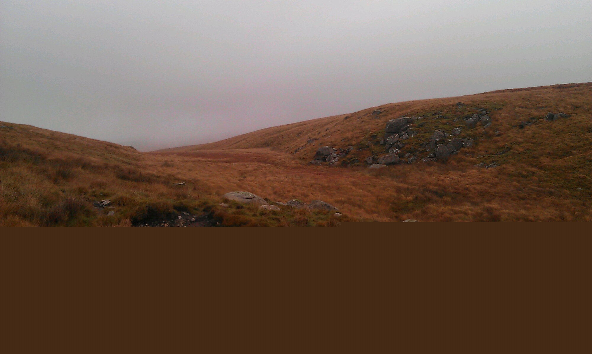 IMAG0734.jpg image