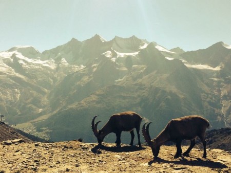 Switzerland Mountaineering Course