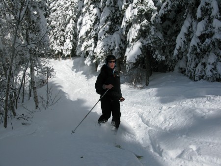 Forest tracks at the end of the skiing