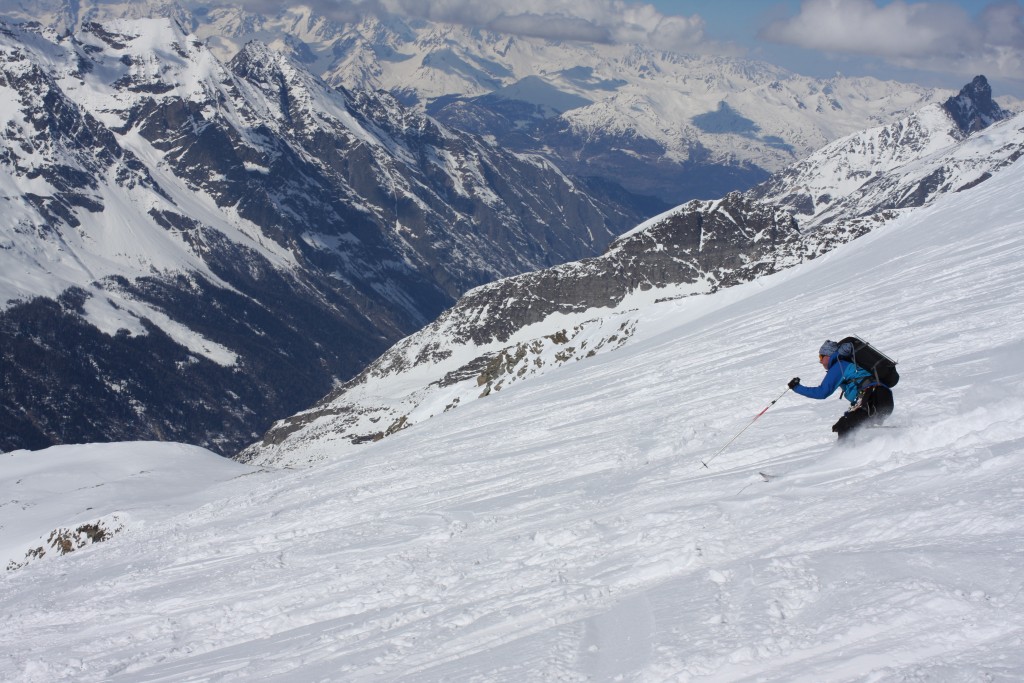 Sparky giving it some beans through the powder