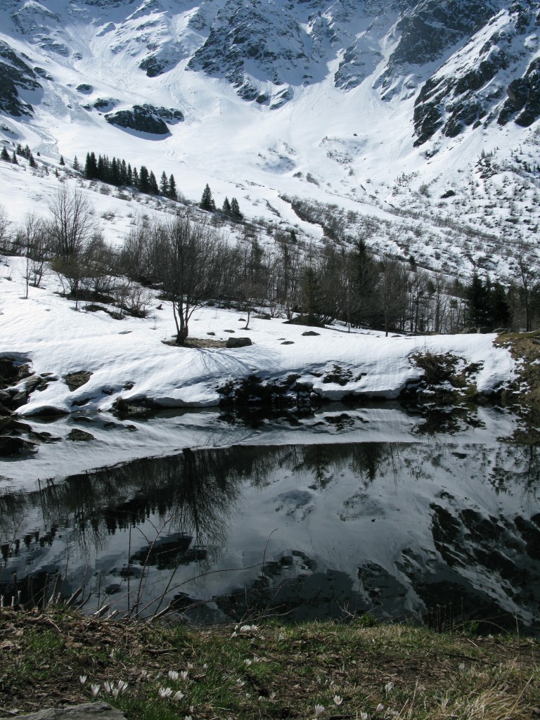 Spring time below the glacier. This pond was full of frogs and frog spawn, in the warm shallow waters.