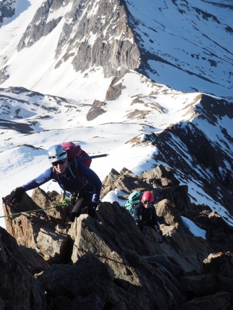 Amongst the scrambling